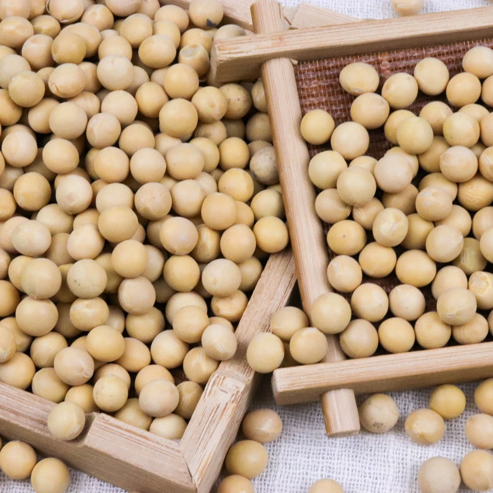 Dried Soya Beans Soybean Soya Bean Wholesale Prices