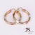 Import E0114 New Arrival Three colors women Gold Hoop Earring from China