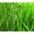 Import Effect guaranteed selection Olive green sports artificial grass football from China