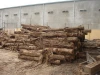 Eucalyptus sawn timber - dried timber - low price high quality