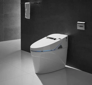 European Sanitary Ware Hot&amp;Cold Water Cleaning Electric Intelligent Toilet ZJS-03