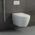 Import European Smart standard ceramic two piece wall hung toilet WC With Concealed Water Tank from China