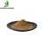 Import Factory Direct Sale Raw Alkalized Cocoa Powder from China