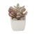 Import Factory direct selling mini artificial potted plant with best quality ES0519 from China