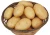 Import factory exports large holland potato in China from China