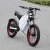 Import Factory hot sale stealth bomber electric off road bike mountain motorcycle from China
