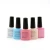 Import Factory Offer UV LED gel nail polish brands Miss gel from China