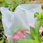 Factory Supplier Natural Material Vegetable Compostable Bag