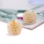 Import Fashion Cheap Jelly Gold Foil Rose Flower Stud Earrings for Women from China