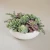 Import Faux 3d Assorted Potted Succulents Plants Bonsai For Hotel Decoration Mini Artificial Echeveria Succulent Plants Natural from China