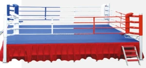 Favorable price new design International IBF standard boxing ring for club