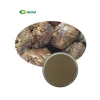 Flavone 10% Powdered Dry Propolis Extract Green Propolis
