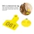 Import for Goat Sheep Pig 1-100 Number Practical Plastic Livestock Ear Tag Animal Tag from China