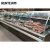 Import freezing deli counter refrigeration equipment from China