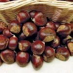 Fresh and Dried Chestnuts For Sale