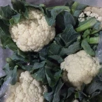 Fresh Cauliflower