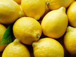 Fresh Citrus Fruit Yellow Eureka Fresh Lemon