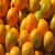 Import fresh orange fruit / orange oil - Wholesale for Fresh Citrus Fruit - High quality dried orange / soft dried orange from China