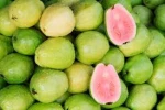 Fresh Red Quality Guavas For Sell