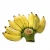 Import Fresh style and tropical &amp; sub-tropical fruit good type SIAMESE BANANA from Vietnam