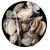 Import Frozen High Quality Seafood White Clam from China