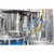 Import Fruit Juice Processing Plant / Juice Bottling Machine / Production Line Price from China
