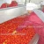 Import Fruit processing machine ( tomato paste processing machine price ) from China