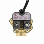 Fuel dispenser gasoline diesel kerosene flow meter
