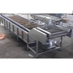 Full Automatic Stainless Steel Air Bubble Washing Machine/Ozone Fruit and Vegetable Washer