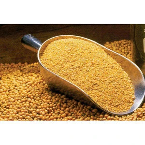 Full-fat Soybean Meal at Best Price