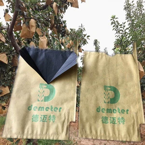 Full Protection Agriculture Paper Fruit Growing Bag