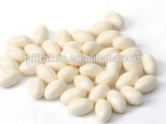 GMP Certified OEM Bovine Colostrum Softgel