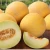 Import Golden Honeydew Melon for wholesale with the best price from Vietnam