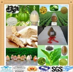 green lipped mussel extract co2 extract
