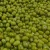 Import green mung beans ethiopia from China