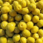 Green olive, Fresh olive Pitted Green Olives