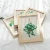 Import Green Plants, DIY Embroidery Kits, Needlework Cross Stitch, Handmade Sewing Craft Wall Paintings Art Home Decoration from China