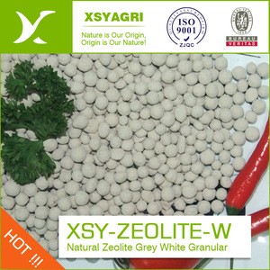 Grey Zeolite Granular for Filtration of Water names of fertilizers