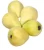 Import guava from Egypt