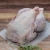 Import Halal Frozen Whole Chicken from South Africa