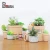 Import Happy house flower pot granite happiness house resin plant pot ceramic  garden pot from China