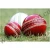Import Hard cricket balls from Pakistan