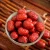 Import healthy snack red date jujube hongzao grey dates from China