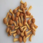 healthy vegetable mushroom frozen nameko mushroom