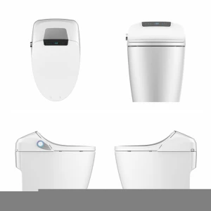 HEGII modern electronic automatic flush sensor water closet one piece bidet bathroom wc ceramic intelligent smart toilet bowl
