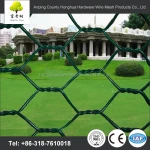 hexagonal chicken wire mesh