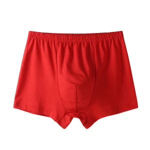 High-end Mens New Style Boxer Shorts