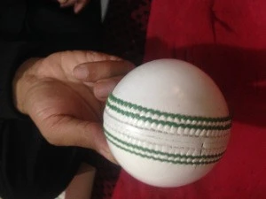 High Quality Cheap Prices Real Leather 2 Pieces Test Matches White Cricket Balls