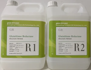 High Quality Chemical Reagents Glutathionereductase GR