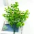 Import High-quality green plastic plant artificial bonsai indoor and outdoor decoration from China
